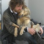 Cães Não Mentem Quando Amam ou A Mentira é Coisa de Bicho Racional